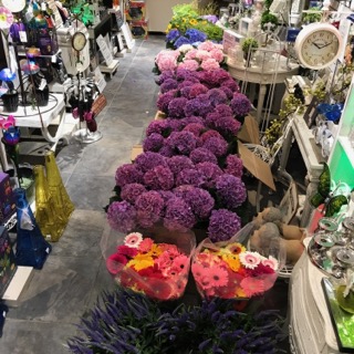 Flowers Just arrived in the store